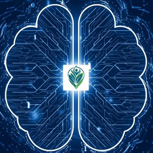 HolistiCare Product Introduction Video